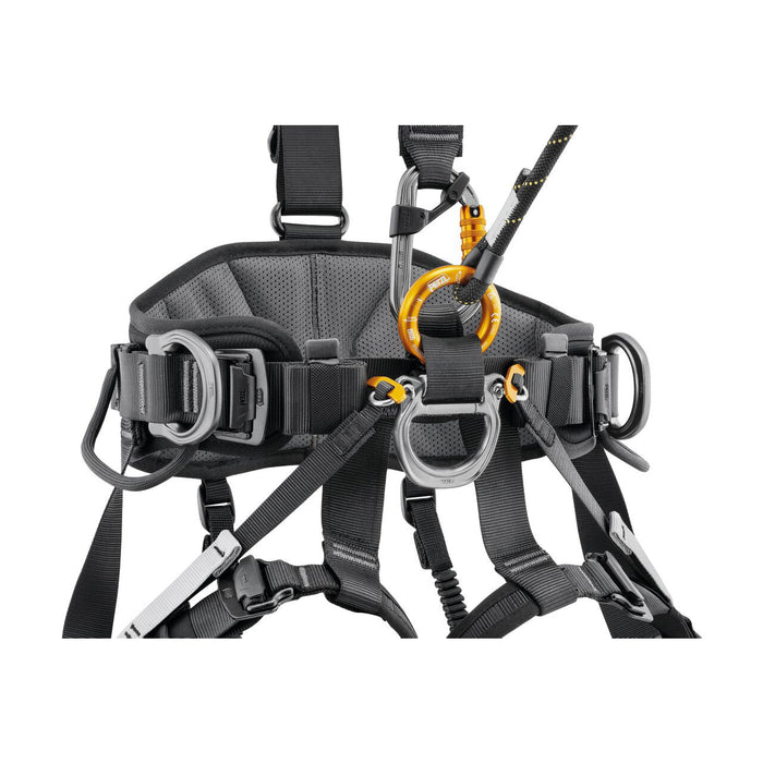 Avao International Harness