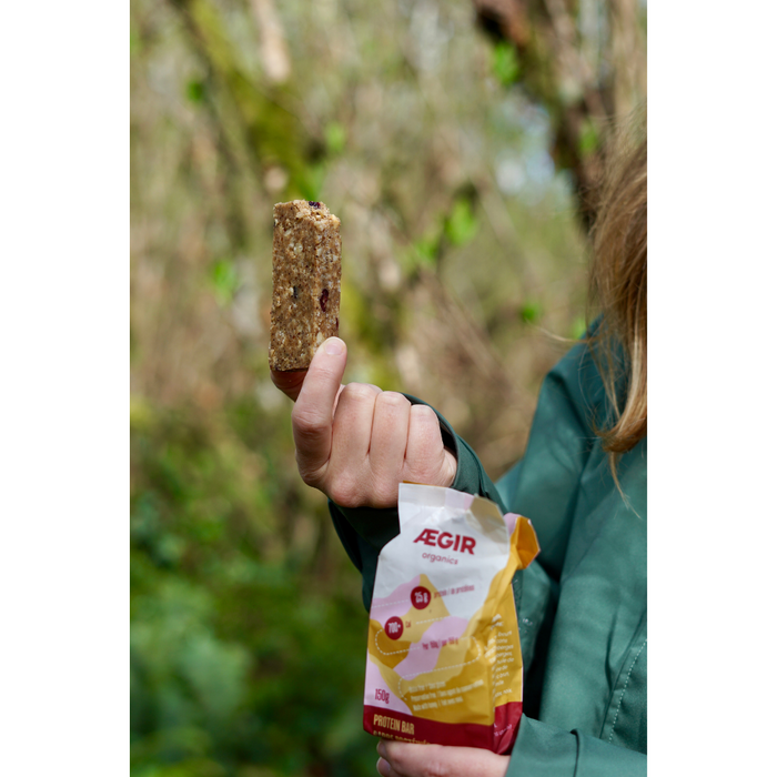 Organics Protein Bar