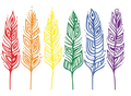 Pride Feathers magnet image shown