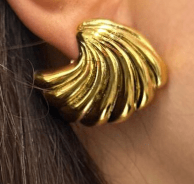Sea Shell Earrings in Gold - Style Cheat