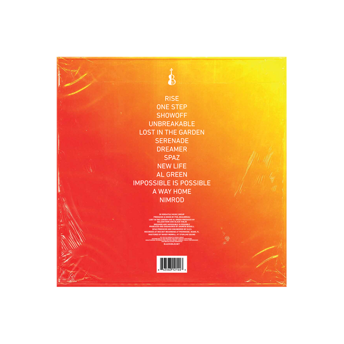 Take The Stairs Vinyl